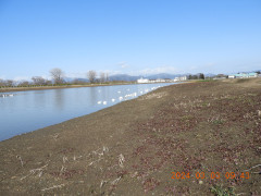 DSCN9367.JPG