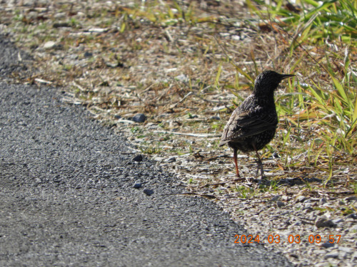 DSCN9370.JPG