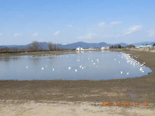 DSCN9372.JPG