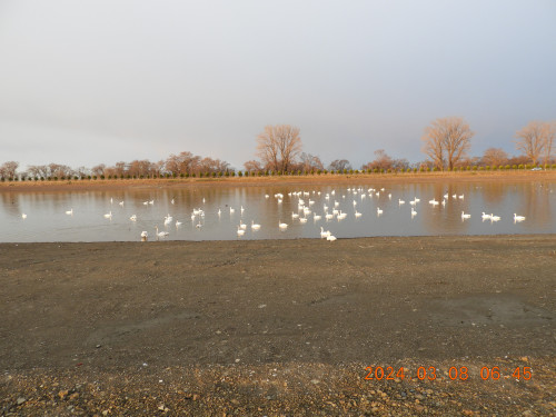 DSCN9435.JPG