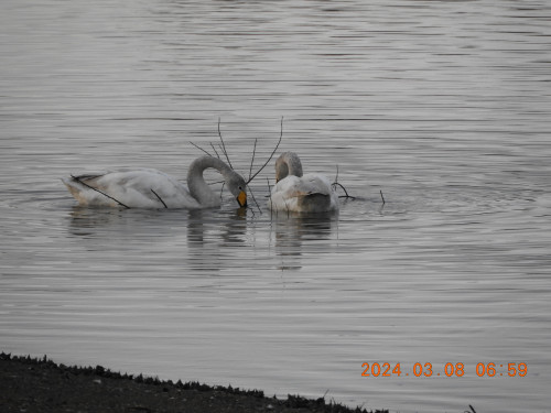 DSCN9438.JPG