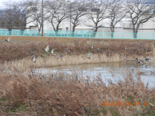DSCN9441.JPG