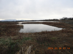 DSCN9443.JPG