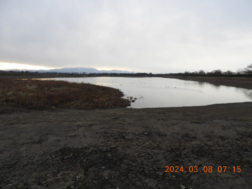 DSCN9446.JPG