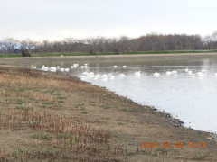 DSCN9463.JPG