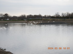 DSCN9464.JPG