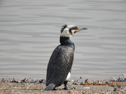 DSCN9479.JPG