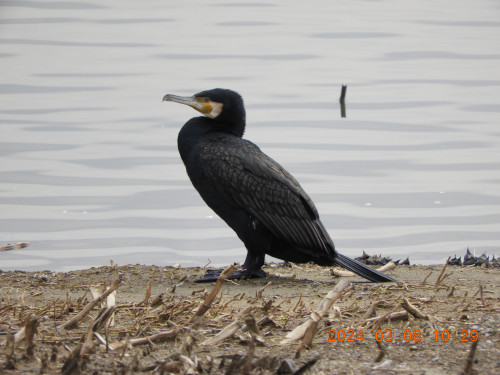 DSCN9480.JPG