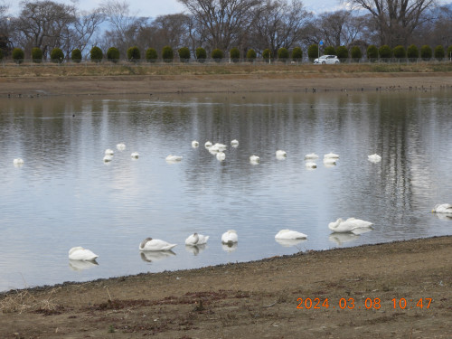 DSCN9485.JPG