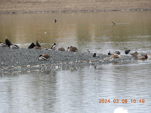 DSCN9487.JPG