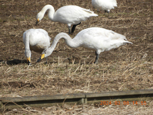 DSCN9490.JPG