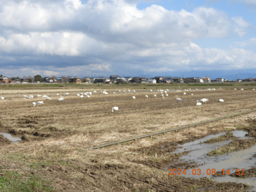 DSCN9489.JPG