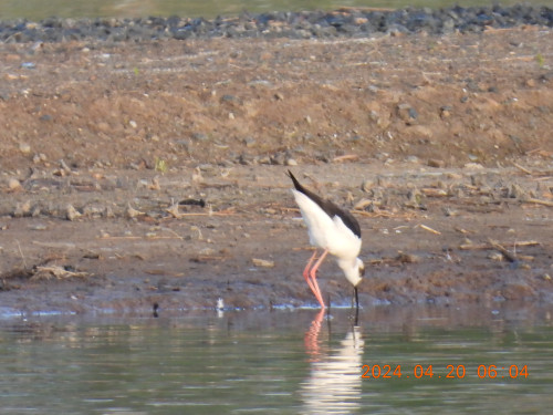 DSCN0820.JPG