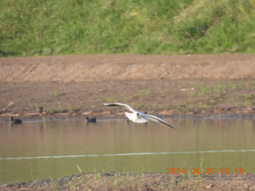DSCN0840.JPG