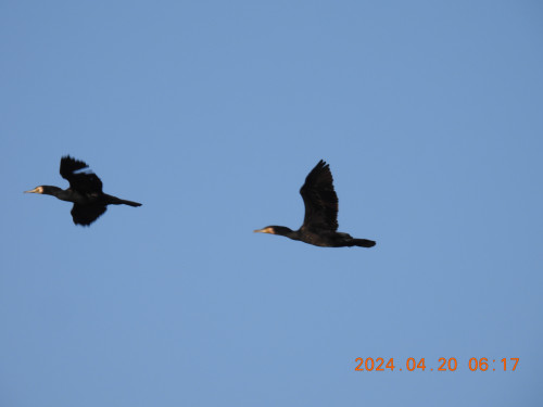 DSCN0836.JPG