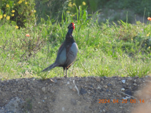 DSCN0835.JPG