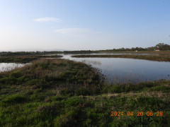 DSCN0854.JPG