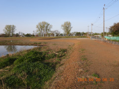 DSCN0855.JPG
