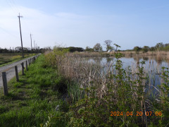 DSCN0868.JPG