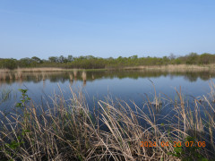 DSCN0869.JPG