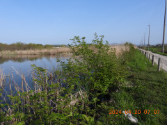 DSCN0870.JPG