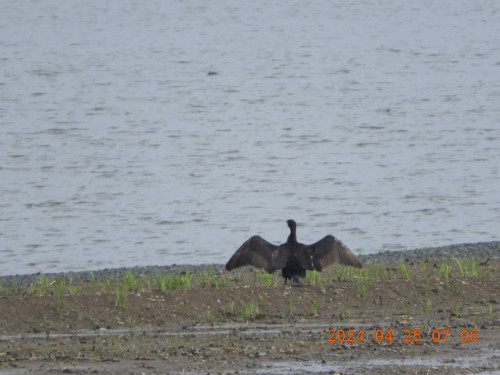 DSCN9710.JPG