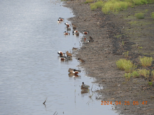 DSCN9655.JPG