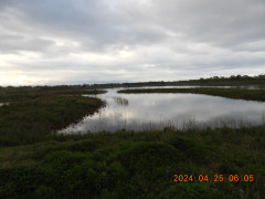 DSCN9665.JPG