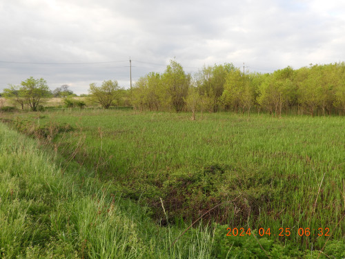 DSCN9685.JPG