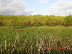 DSCN9686.JPG