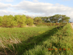 DSCN9687.JPG