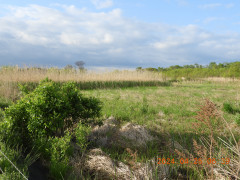 DSCN9693.JPG