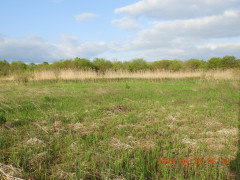 DSCN9694.JPG