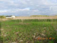 DSCN9695.JPG