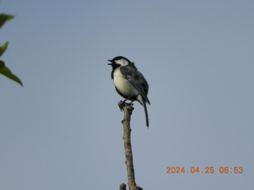 DSCN9701.JPG