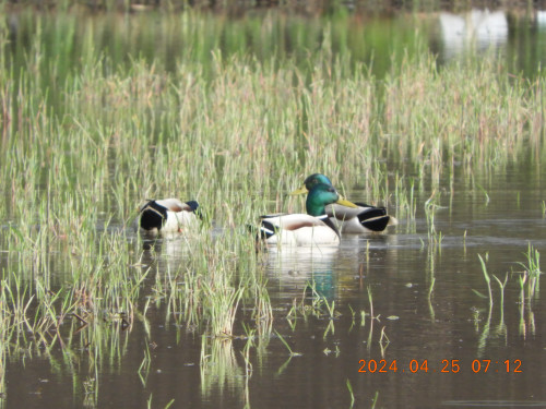 DSCN9713.JPG