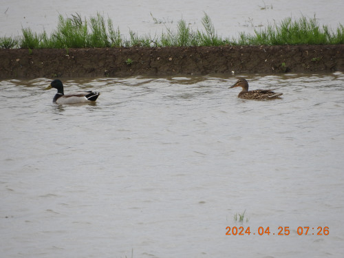 DSCN9718.JPG