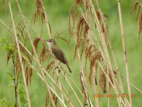 DSCN9795.JPG