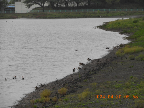 DSCN9723.JPG