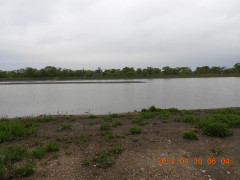 DSCN9727.JPG