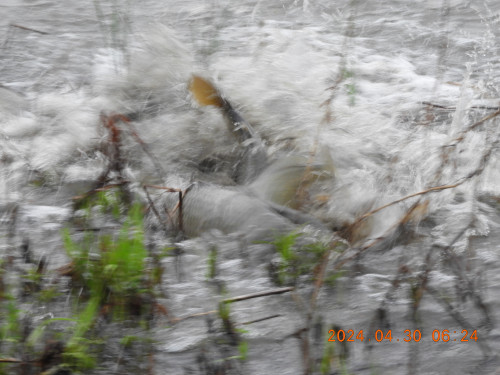 DSCN9751.JPG