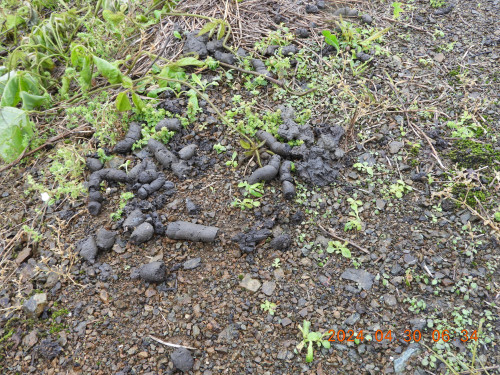 DSCN9755.JPG