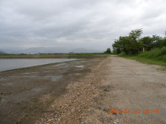 DSCN9765.JPG