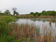 DSCN9770.JPG