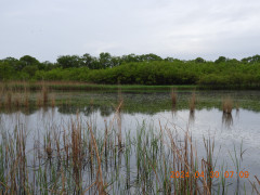 DSCN9771.JPG