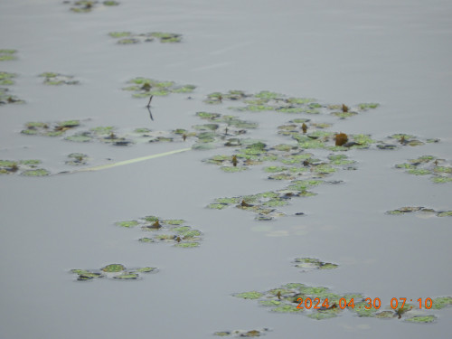 DSCN9773.JPG