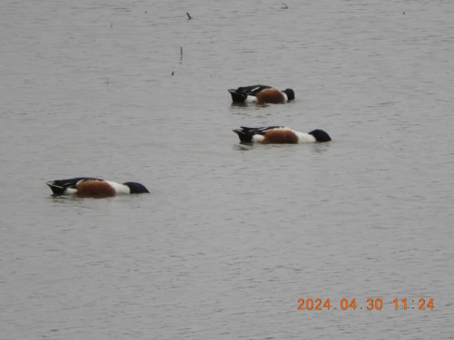 DSCN9813.JPG