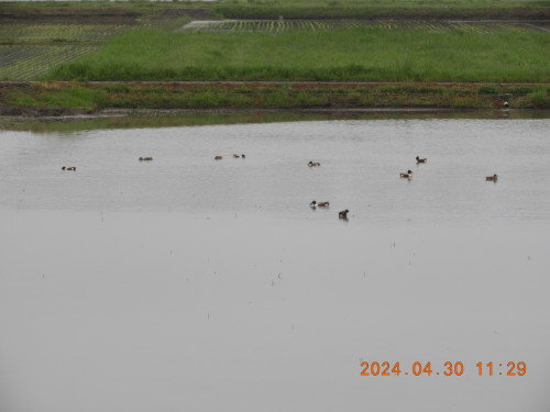 DSCN9817.JPG
