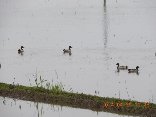 DSCN9815.JPG