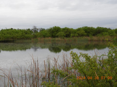 DSCN9772.JPG